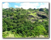 Garden-of-the-Sleeping-Giant-Nadi-Viti-Levu-Fiji-085