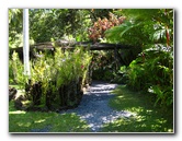 Garden-of-the-Sleeping-Giant-Nadi-Viti-Levu-Fiji-090