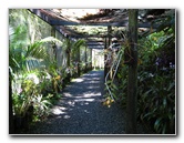 Garden-of-the-Sleeping-Giant-Nadi-Viti-Levu-Fiji-097