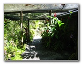 Garden-of-the-Sleeping-Giant-Nadi-Viti-Levu-Fiji-109