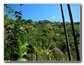 Garden-of-the-Sleeping-Giant-Nadi-Viti-Levu-Fiji-113