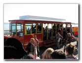 Gasparilla-Parade-of-the-Pirates-Tampa-FL-146