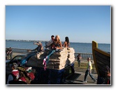 Gasparilla-Parade-of-the-Pirates-Tampa-FL-242