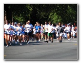 Gator-Gallop-Fun-Run-2010-Gainesville-FL-004