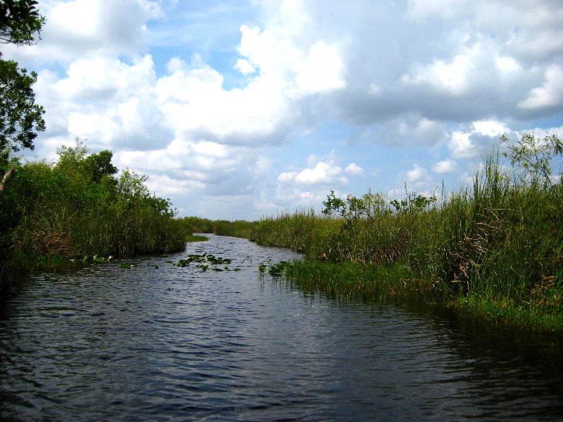 Gator-Park-Airboat-Ride-014