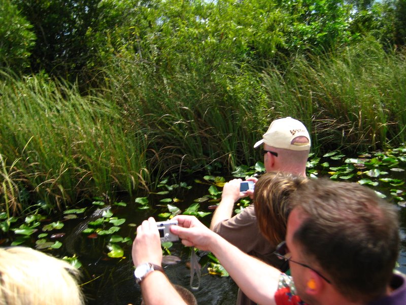 Gator-Park-Airboat-Ride-016