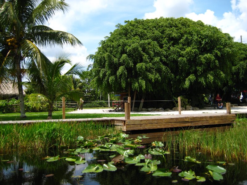 Gator-Park-Airboat-Ride-024