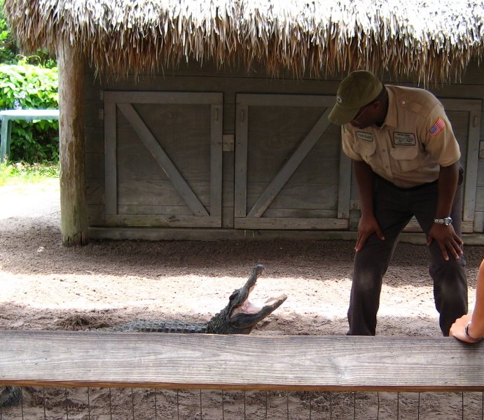 Gator-Park-Airboat-Ride-031