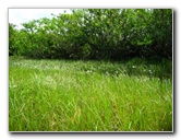 Gator-Park-Airboat-Ride-003