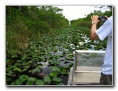 Gator-Park-Airboat-Ride-010