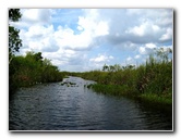 Gator-Park-Airboat-Ride-014