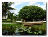 Gator-Park-Airboat-Ride-024