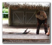 Gator-Park-Airboat-Ride-031