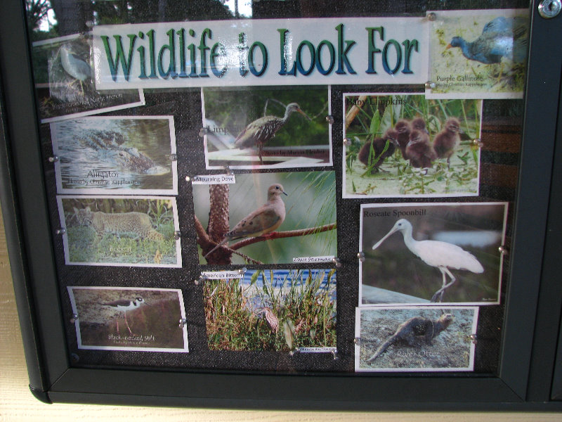 Green-Cay-Wetlands-Boynton-Beach-FL-005