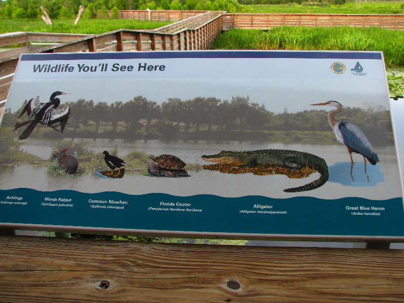 Green-Cay-Wetlands-Boynton-Beach-FL-007