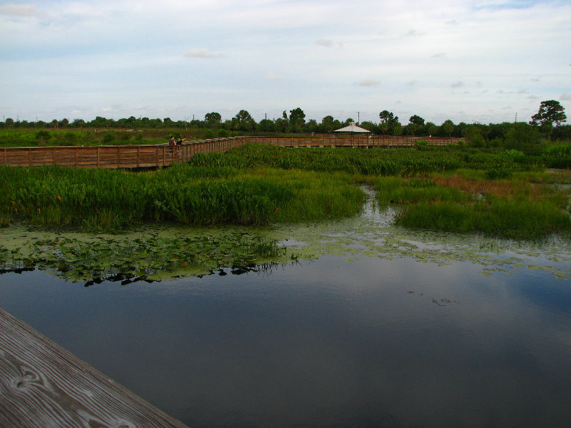 Green-Cay-Wetlands-Boynton-Beach-FL-008