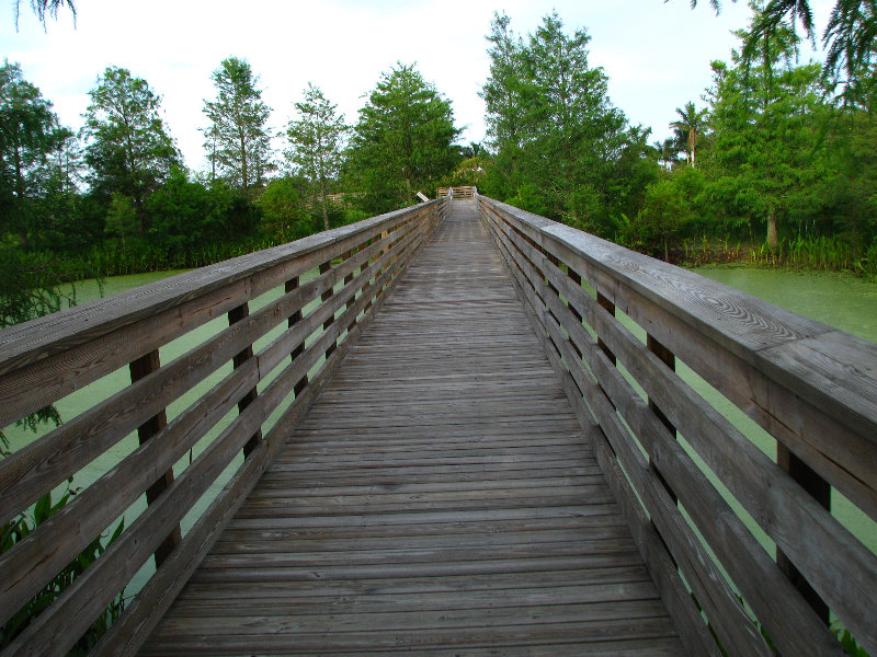 Green-Cay-Wetlands-Boynton-Beach-FL-010