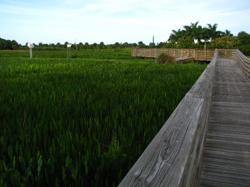 Green-Cay-Wetlands-Boynton-Beach-FL-013
