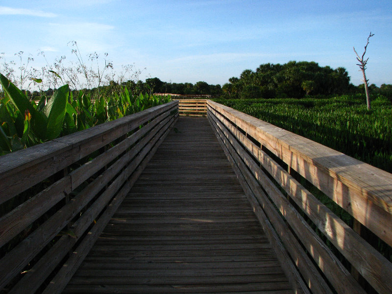 Green-Cay-Wetlands-Boynton-Beach-FL-016
