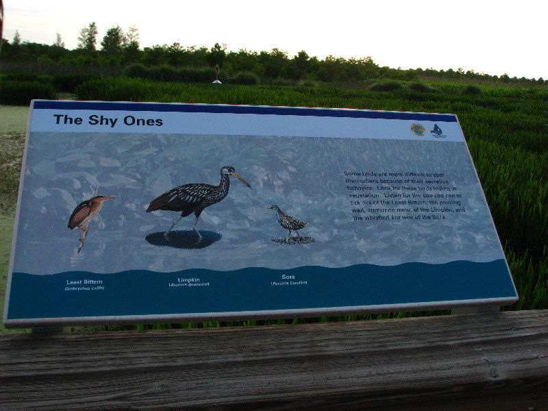 Green-Cay-Wetlands-Boynton-Beach-FL-021