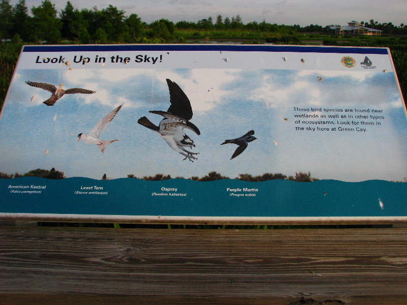 Green-Cay-Wetlands-Boynton-Beach-FL-034