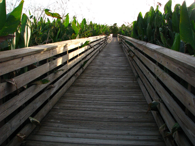 Green-Cay-Wetlands-Boynton-Beach-FL-050