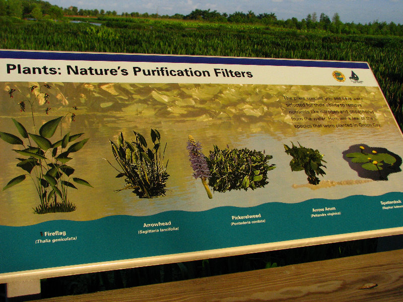 Green-Cay-Wetlands-Boynton-Beach-FL-051