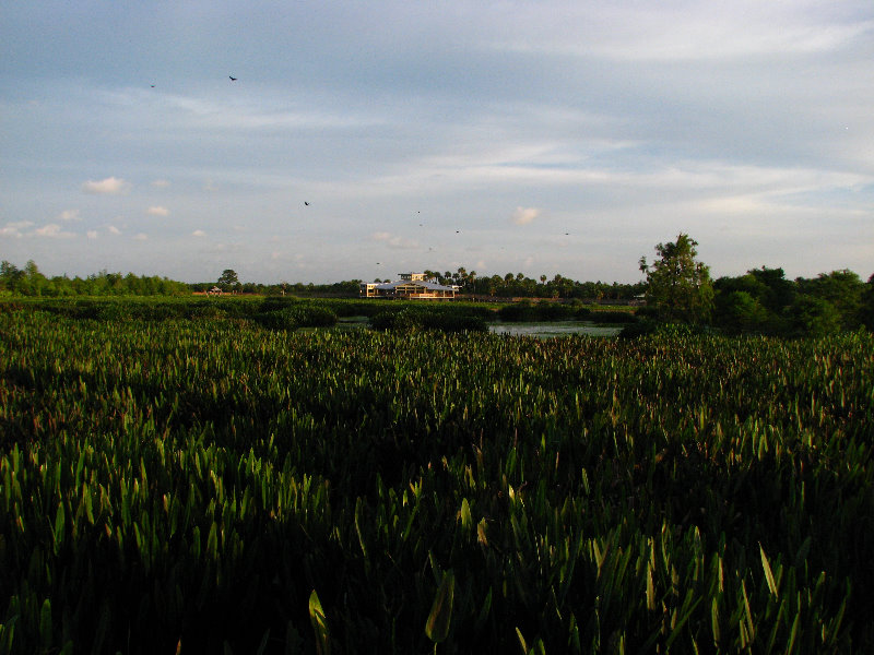Green-Cay-Wetlands-Boynton-Beach-FL-052