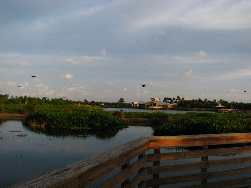 Green-Cay-Wetlands-Boynton-Beach-FL-057