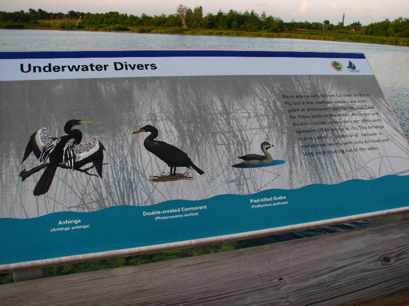 Green-Cay-Wetlands-Boynton-Beach-FL-075