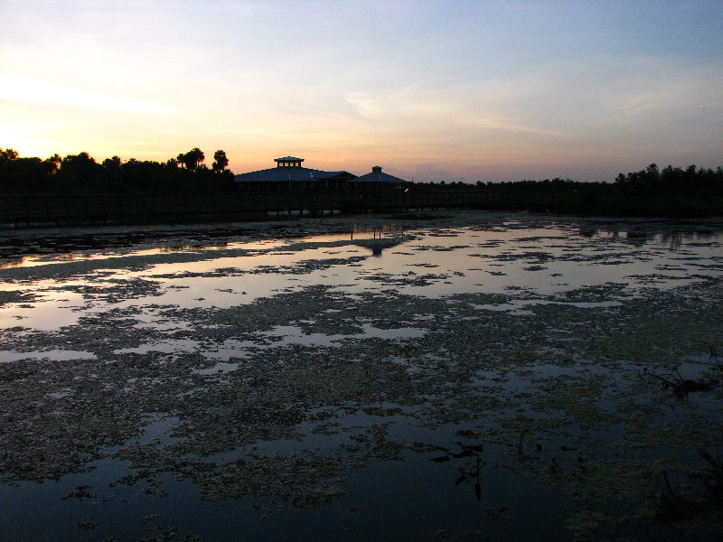 Green-Cay-Wetlands-Boynton-Beach-FL-091