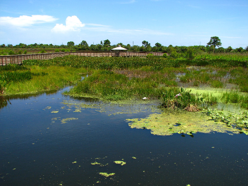 Green-Cay-Wetlands-Boynton-Beach-FL-098