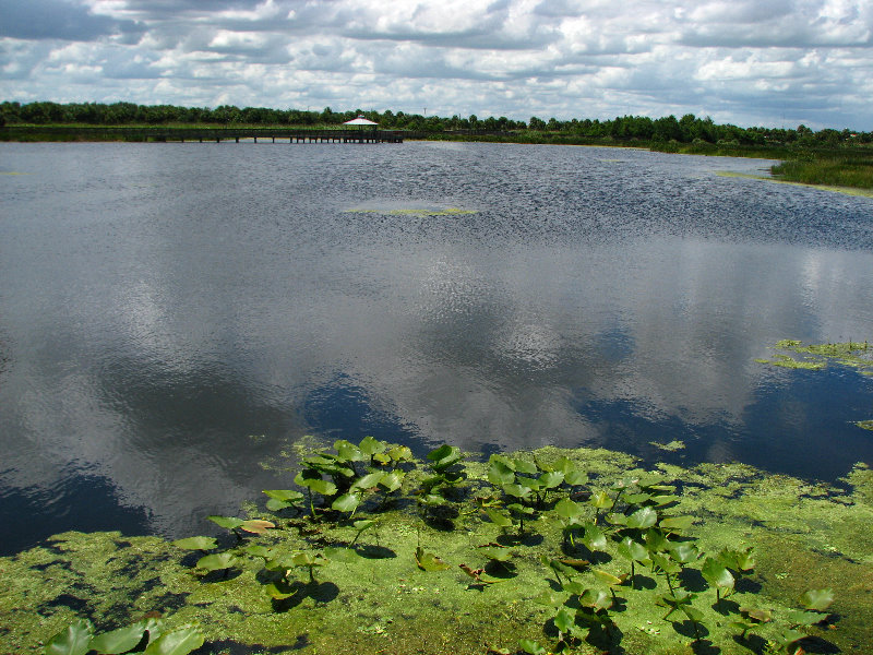 Green-Cay-Wetlands-Boynton-Beach-FL-100