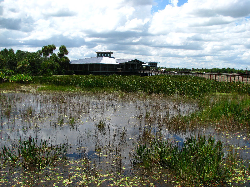 Green-Cay-Wetlands-Boynton-Beach-FL-104