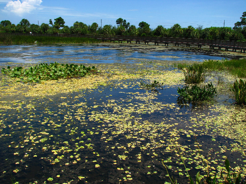 Green-Cay-Wetlands-Boynton-Beach-FL-105
