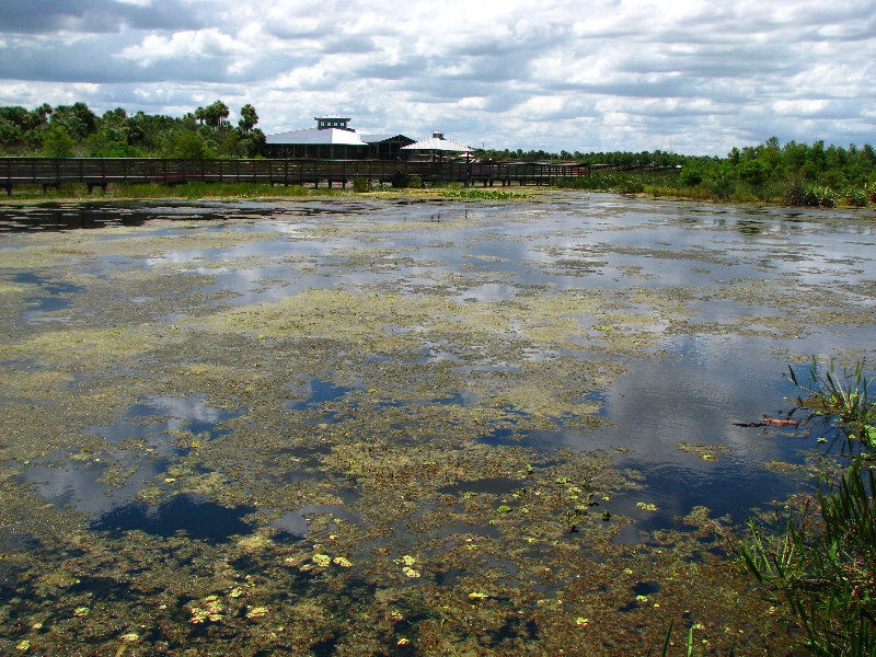 Green-Cay-Wetlands-Boynton-Beach-FL-110
