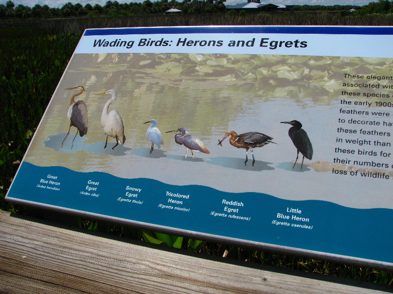 Green-Cay-Wetlands-Boynton-Beach-FL-112