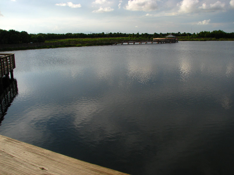 Green-Cay-Wetlands-Boynton-Beach-FL-119