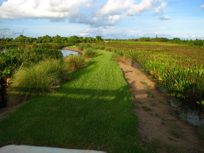 Green-Cay-Wetlands-Boynton-Beach-FL-132