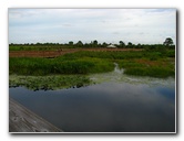 Green-Cay-Wetlands-Boynton-Beach-FL-008