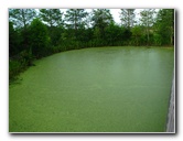 Green-Cay-Wetlands-Boynton-Beach-FL-011