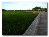 Green-Cay-Wetlands-Boynton-Beach-FL-013