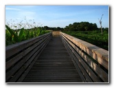 Green-Cay-Wetlands-Boynton-Beach-FL-016