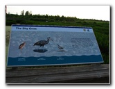 Green-Cay-Wetlands-Boynton-Beach-FL-021