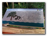 Green-Cay-Wetlands-Boynton-Beach-FL-029