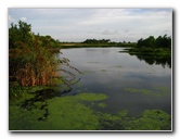 Green-Cay-Wetlands-Boynton-Beach-FL-032