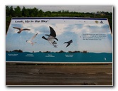 Green-Cay-Wetlands-Boynton-Beach-FL-034