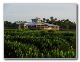 Green-Cay-Wetlands-Boynton-Beach-FL-040