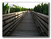 Green-Cay-Wetlands-Boynton-Beach-FL-050