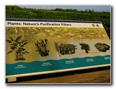 Green-Cay-Wetlands-Boynton-Beach-FL-051